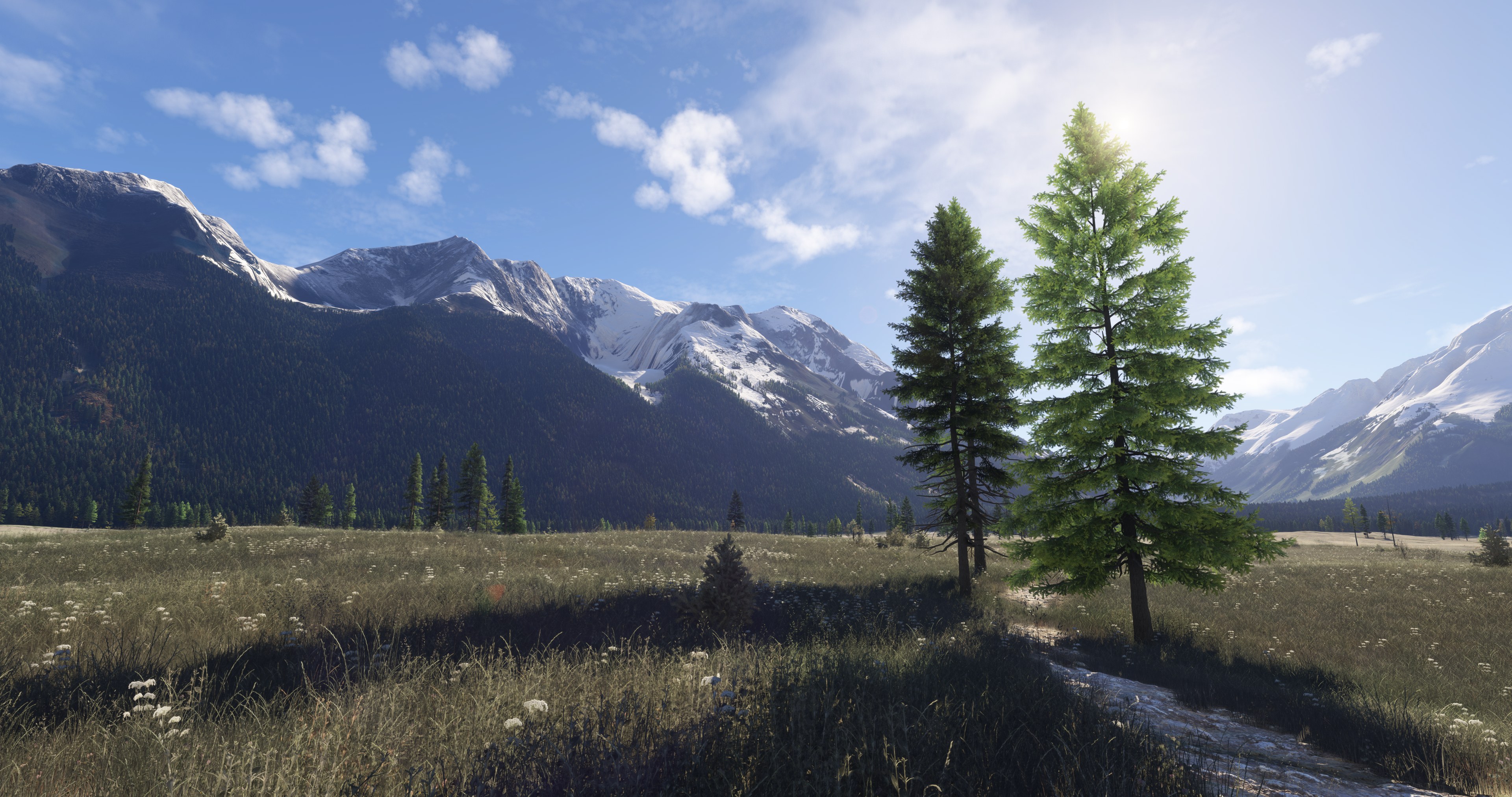 Microsoft Flight Simulator 2024 - Imagen 8
